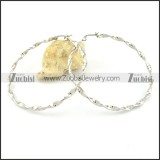 Special Silver Steel Line Earrings for Women - e000352