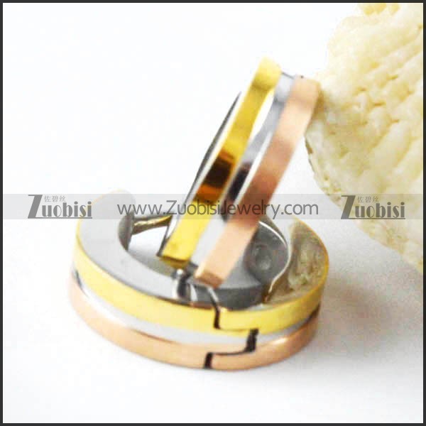 3 Plating Tones Stainless Steel Earring - e000030