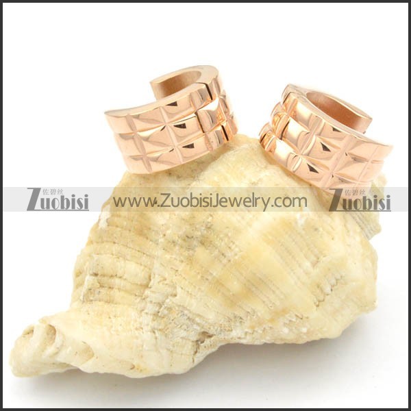 Stainless Steel Earrings -e000206