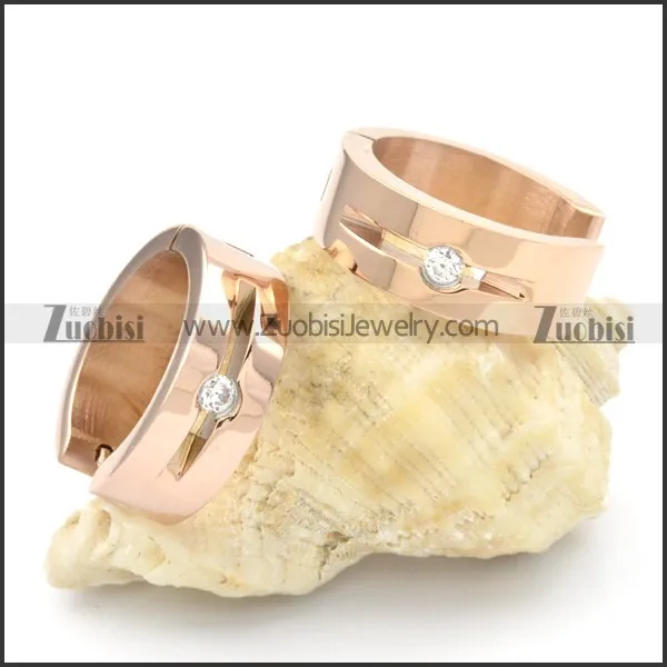 Stainless Steel Earrings -e000234