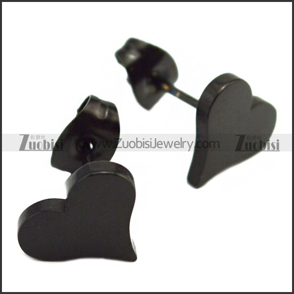 Stainless Steel Earring e001999