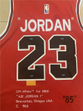Chicago Bulls 新款 公牛队 23号 乔丹85纪念版 红色 球衣