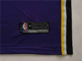 Los Angeles Lakers 湖人队 3号 戴维斯 紫色 2019新款圆领球迷版
