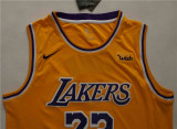 Los Angeles Lakers  新赛季 湖人队 23号 戴维斯 黄色 球迷版球衣