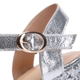 Arden Furtado 2018 summer high heels platform wedges crystal rhinestone flowers silver fashion buckle sandals shoes for woman