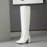 Arden Furtado chunky heels white pointed toe over the knee high boots woman shoes ladies