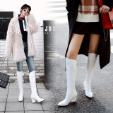 Arden Furtado 2018 autumn winter zipper chunky heels pointed toe 8cm white blue boots female knee high boots size 33 40 ladies