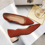 Arden Furtado summer 2019 fashion women's shoes apricot brick red pointed toe mature special-shaped heels pumps pure color