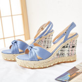 Arden Furtado summer 2019 fashion trend women's shoes pure color light blue waterproof sandals bowknot butterfly knot