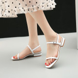 Arden Furtado summer fashion women's shoes concise mature new narrow band buckle strap white sandals