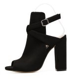 Arden Furtado Summer Fashion Trend Women's Shoes New  Chunky Heels Sexy Elegant Peep Toe Pure Color Hollow out Buckle Sandals