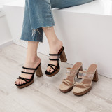 Arden Furtado Summer Fashion Trend Women's Shoes Mature Concise Chunky Heels   Sexy Elegant Slippers Suede