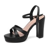 Arden Furtado Summer Fashion Women's Shoes Elegant Personality Party Shoes Waterproof Chunky Heels Buckle Pure Color Sandals