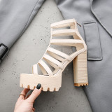 Arden Furtado Summer Fashion Women's Shoes Chunky Heels Zipper Narrow Band Sandals Sexy Elegant Pure Color Waterproof