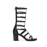 Arden Furtado Summer Fashion Trend Women's Shoes Chunky Heels  Sexy Elegant Pure Color Classics Gladiator Sandals Back zipper