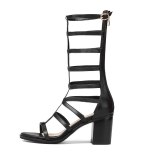 Arden Furtado Summer Fashion Trend Women's Shoes Chunky Heels  Sexy Elegant Pure Color Classics Gladiator Sandals Back zipper