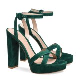 Arden Furtado Summer Fashion Women's Shoes Chunky Heels green suede Sandals Personality Party Shoes Sexy Platform Elegant white shoes