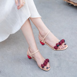 Arden Furtado Summer Fashion Trend Women's Shoes  Sexy Elegant Pure Color strawberry Sandals concise Buckle Sweet