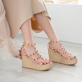 Arden Furtado Summer Fashion Trend Women's Shoes  Sexy Elegant Pure Color Wedges Sandals Rivet Buckle Narrow Band Big size 40