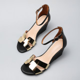 Arden Furtado Summer Fashion Trend Women's Shoes  Sexy Elegant Sandals Buckle Leather Classics Concise