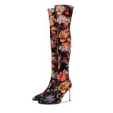 Arden Furtado Spring autumn Fashion Women's Shoes Pointed Toe Stilettos Heels Sexy Elegant Ladies Boots Over The Knee High Boots