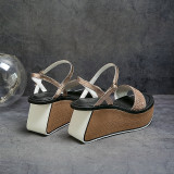 Arden furtado summer Silver champagne Platform Sandals High heels Fashion Elegant Women's shoes