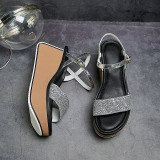Arden furtado summer Silver champagne Platform Sandals High heels Fashion Elegant Women's shoes