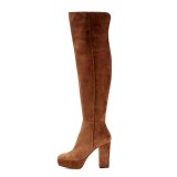 Arden Furtado Fashion Women's Shoes Winter Pointed Toe Chunky Heels Zipper platform Sexy Elegant Ladies Over the knee brown Boots 
