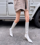 Arden Furtado Fashion Women's Shoes Winter Pointed Toe Stilettos Heels Sexy Elegant Ladies Boots Concise beige Knee High Boots