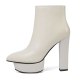 Arden Furtado Fashion Women's Shoes Winter Pointed Toe Chunky Heels Zipper  Sexy Elegant Ladies Boots Concise Mature Waterproof
