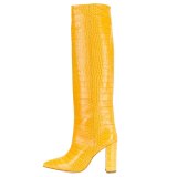 Arden Furtado Fashion Women's Shoes Winter Pointed Toe Chunky Heels yellow Sexy Elegant Ladies Boots Concise Mature Slip-on