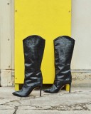 Arden Furtado Fashion Women's Shoes Winter Pointed Toe Stilettos Heels Elegant Ladies Boots Women's Boots Half Boots   Leather