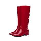 Arden Furtado Fashion Women's Shoes Winter Pointed Toe Elegant Ladies Boots Concise Mature pure color Slip-on Knee High Boots