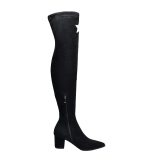 Arden Furtado Fashion Women's Shoes Winter Pointed Toe Chunky Heels  Sexy Elegant Ladies Boots Concise Over The Knee High Boots