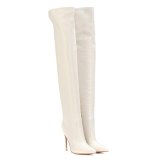 Arden Furtado Fashion Women's Shoes Winter  Pointed Toe Stilettos Heels Sexy Elegant Ladies Boots  pure color white big size 45