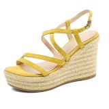 Arden Furtado Summer Fashion  Women's Shoes pure color blue yellow and apricot Sandals Narrow Band Buckle Waterproof Wedges