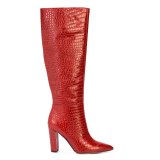 Arden Furtado Fashion Women's Shoes Winter Pointed Toe Chunky Heels Zipper Elegant Ladies Boots pure color red Knee High Boots