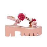 Arden Furtado Summer Fashion Trend Women's Shoes Flowers Narrow Band Sweet Buckle Waterproof Classics Sandals