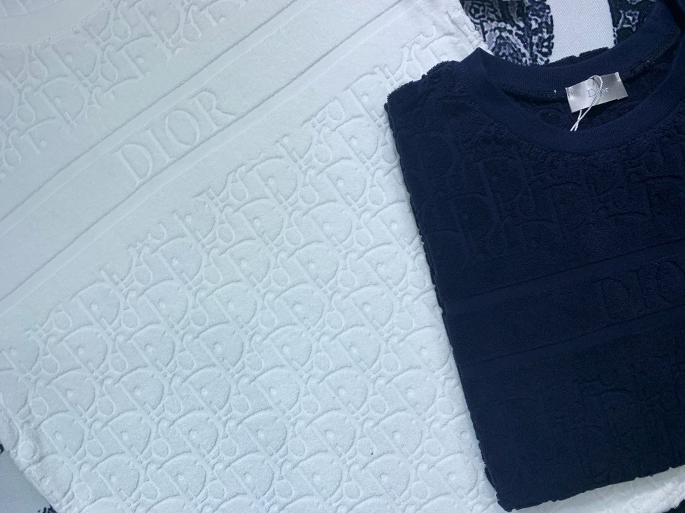 Dior Oblique Towel T-Shirt – CnExclusives
