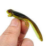 Tadpole Frog Lizard Freshwater Fishing Lures Soft Plastic Perch Bass Sneakhead Drop Shot