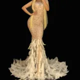 Sexy Drag Queen Costumes Rhinestone Fish Tail Feather Event Party Prom Long Dresses Celebrity Red Carpet Runway Stage For Singer