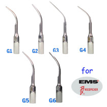 New 6Pcs/lot Ultrasonic Dental Scaler Tips G1 G2 G3 G4 G5 G6 Compatible With EMS