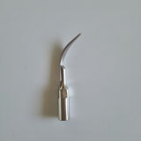 Dental Scaling Tips G1 Compatible with EMS & Woodpecker for Teeth Scaler