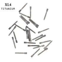 30pcs Dental pure TITANIUM SCREW POST size XL4 endodontic material bulk sale
