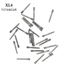 30pcs Dental pure TITANIUM SCREW POST size XL4 endodontic material bulk sale