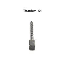 30pcs Dental endodontic material bulk sale pure TITANIUM SCREW POST size S1
