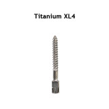30pcs Dental pure TITANIUM SCREW POST size XL4 endodontic material bulk sale