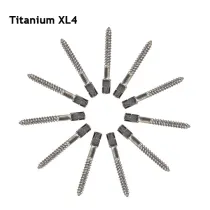 30pcs Dental pure TITANIUM SCREW POST size XL4 endodontic material bulk sale