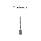 30pcs Dental endodontic material bulk sale PURE TITANIUM SCREW POST size L1