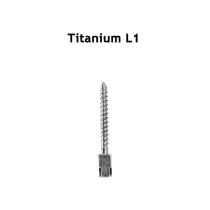 30pcs Dental endodontic material bulk sale PURE TITANIUM SCREW POST size L1